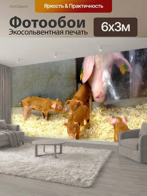 600 × 300 см · Экосольвентная печать