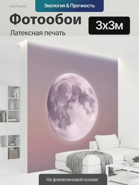 300 × 300 см · Латексная печать