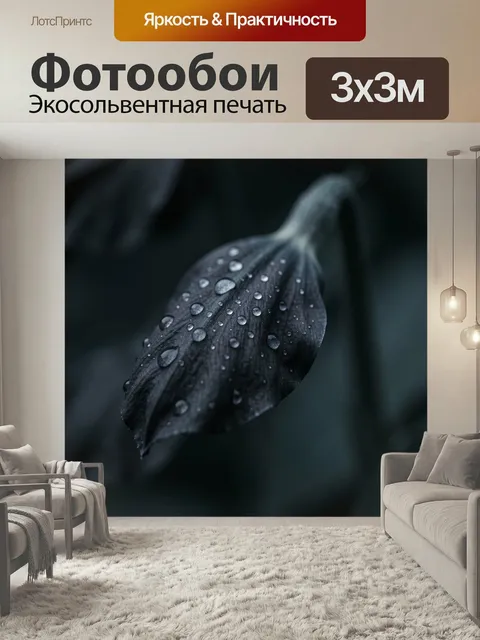 Фотообои Темный лепесток с каплями