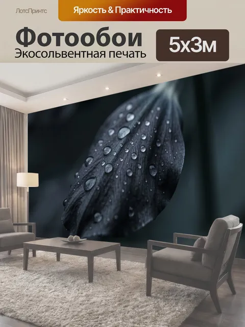 Фотообои Темный лепесток с каплями