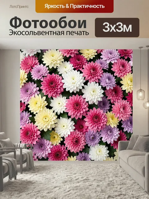 Фотообои Яркие хризантемы в розовых тонах