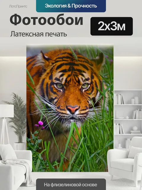 200 × 300 см · Латексная печать