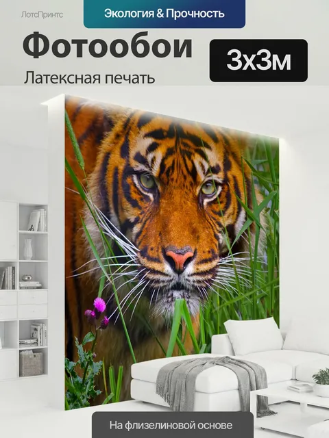 300 × 300 см · Латексная печать