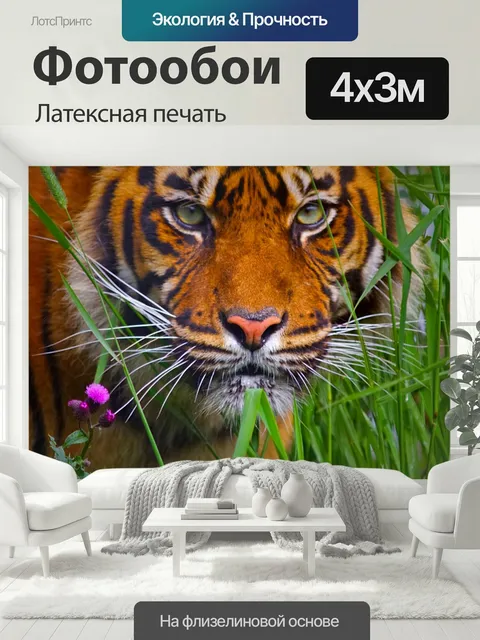 400 × 300 см · Латексная печать