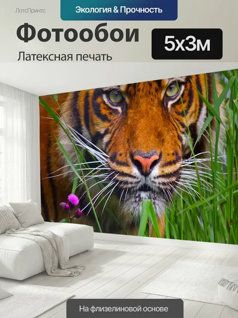 500 × 300 см · Латексная печать