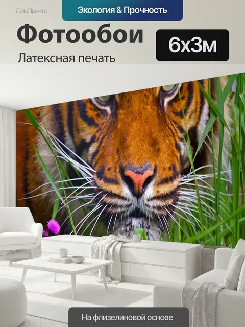 600 × 300 см · Латексная печать