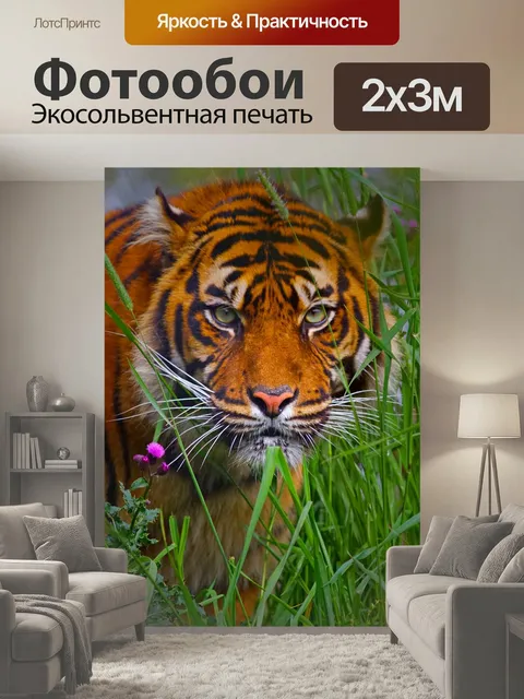 200 × 300 см · Экосольвентная печать