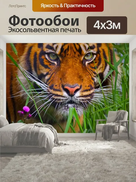 400 × 300 см · Экосольвентная печать