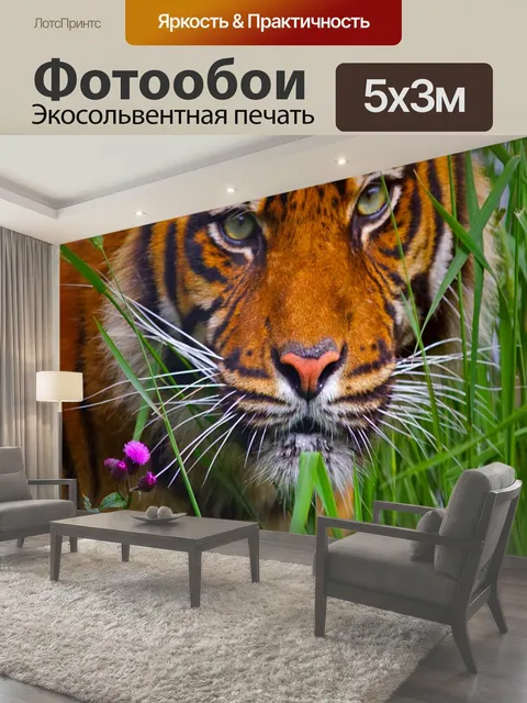 500 × 300 см · Экосольвентная печать