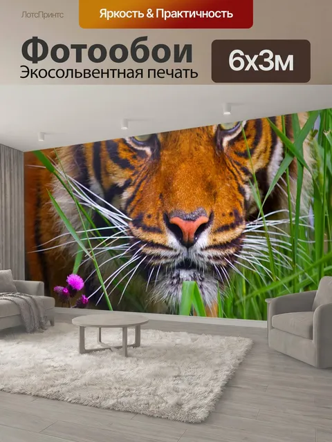 600 × 300 см · Экосольвентная печать