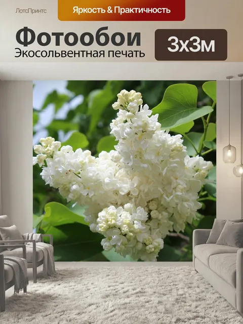 Фотообои Белая сирень, цветение, весна