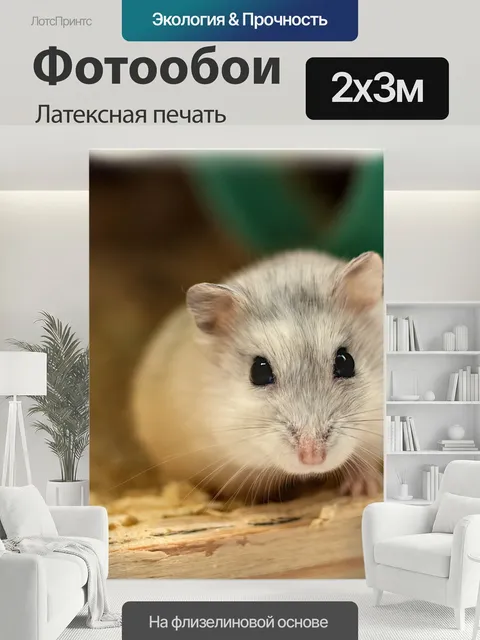 200 × 300 см · Латексная печать