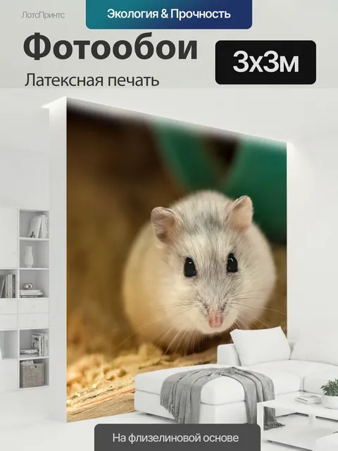 300 × 300 см · Латексная печать