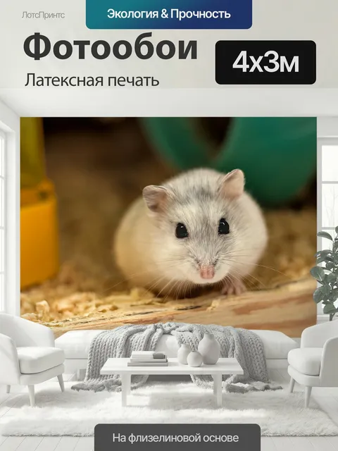 400 × 300 см · Латексная печать