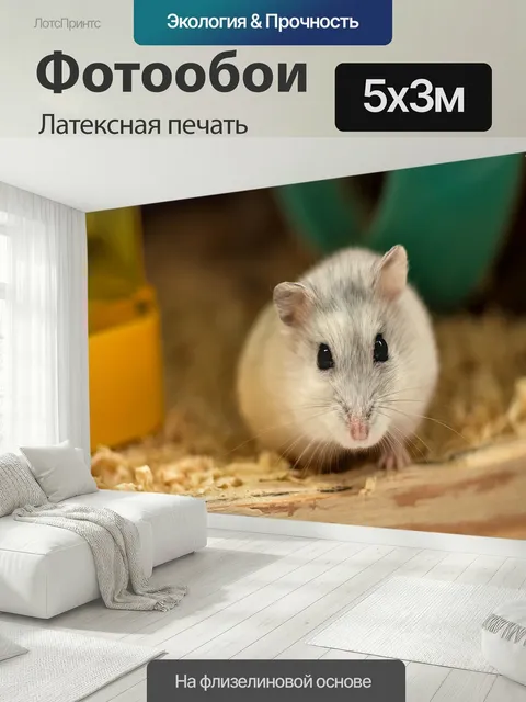 500 × 300 см · Латексная печать