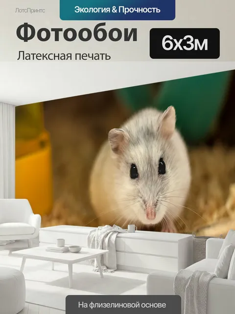 600 × 300 см · Латексная печать