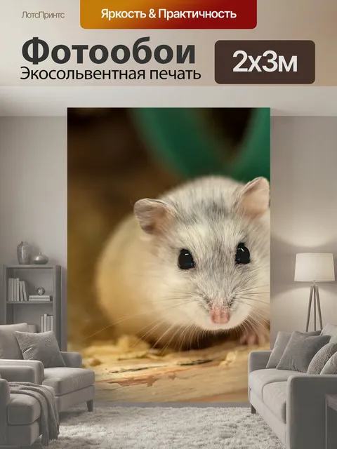 200 × 300 см · Экосольвентная печать