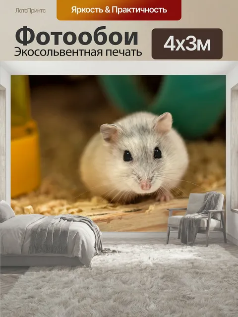 400 × 300 см · Экосольвентная печать