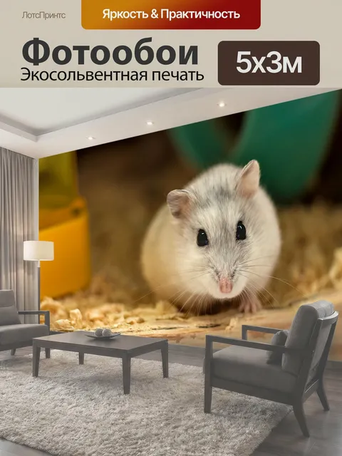 500 × 300 см · Экосольвентная печать