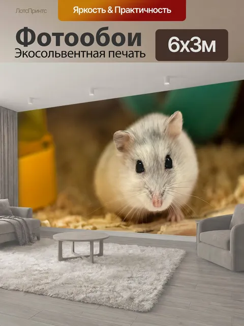 600 × 300 см · Экосольвентная печать