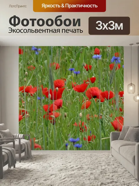 Фотообои Мак, красный, цветок