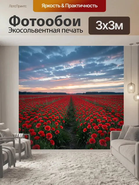 Фотообои Поле красных маков на закате. Бескрайняя цветущая равнина с ярко-красными полевыми цветами и узкой тропой в ц…