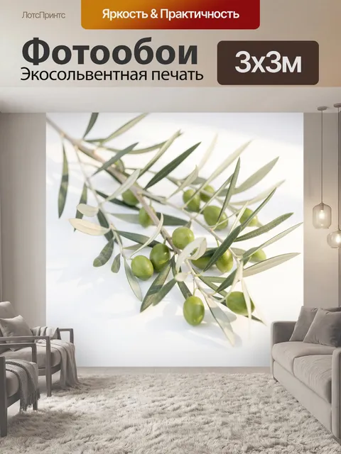 Фотообои Ветви оливы с зелёными плодами. Изящная ботаническая композиция с серебристо-зелёной листвой и спелыми оливка…