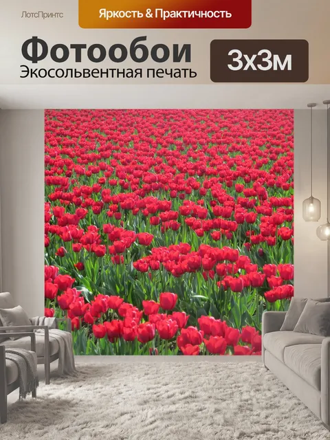 Фотообои Цветы, тюльпаны, красный