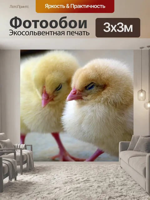 Фотообои Цыплята, цыпленок, курица