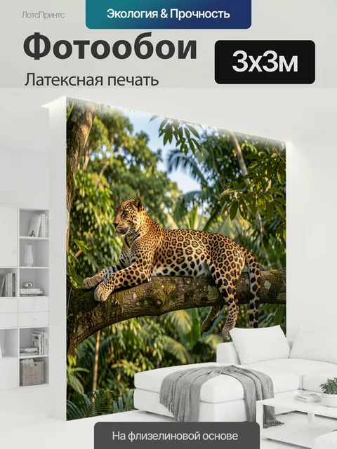 300 × 300 см · Латексная печать