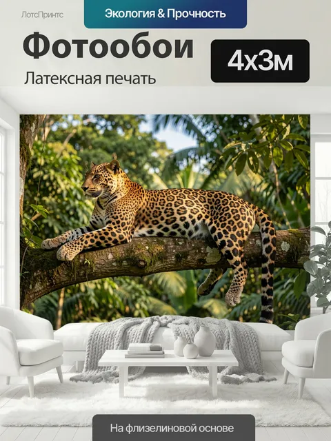 400 × 300 см · Латексная печать