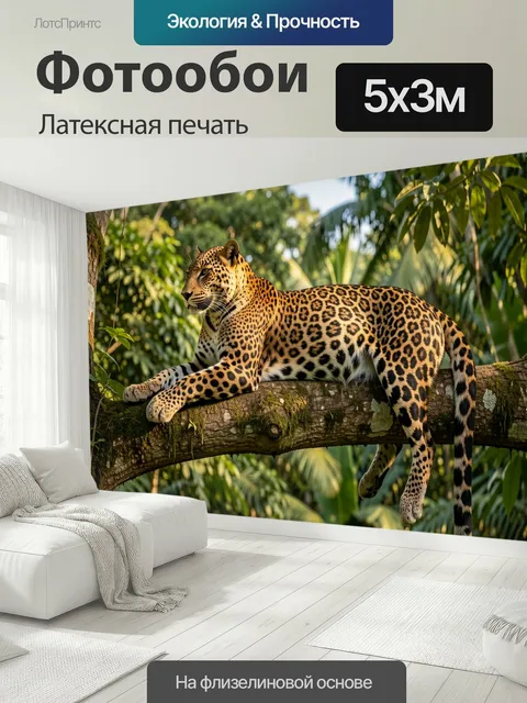 500 × 300 см · Латексная печать