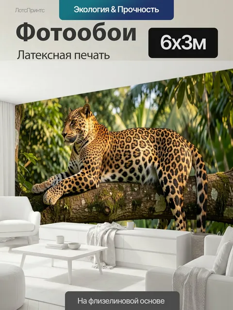 600 × 300 см · Латексная печать