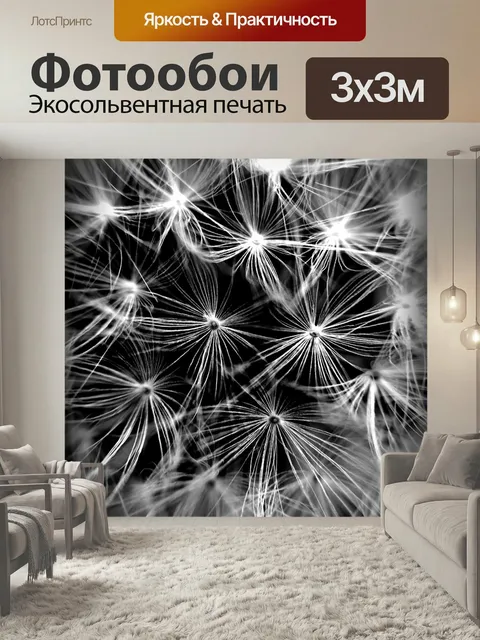 Фотообои Маргаритка, черно-белый, творческий