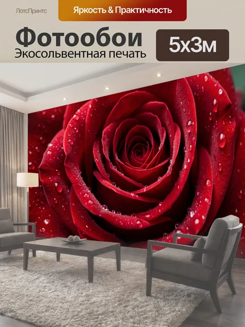 Фотообои Красная роза с каплями росы