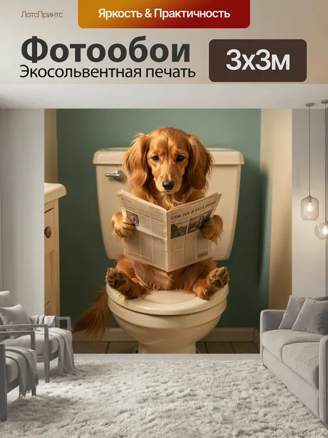 Фотообои Такса с газетой в туалете