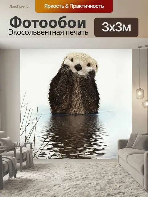 Фотообои Выдра, животное, вода
