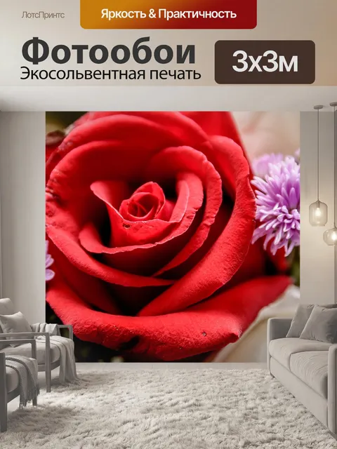 Фотообои Цветок, розы, красивая