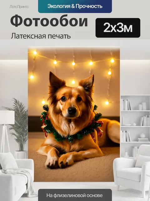 200 × 300 см · Латексная печать
