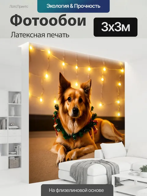 300 × 300 см · Латексная печать