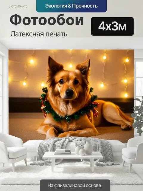 400 × 300 см · Латексная печать