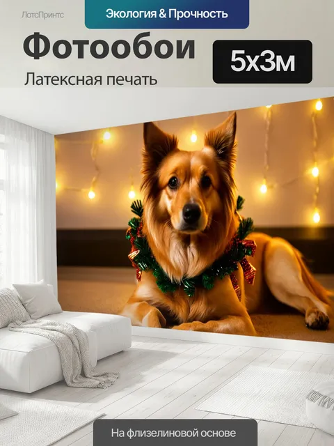 500 × 300 см · Латексная печать