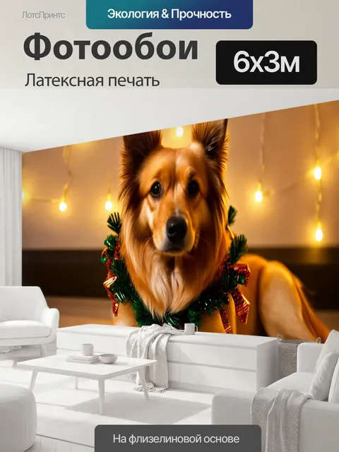 600 × 300 см · Латексная печать