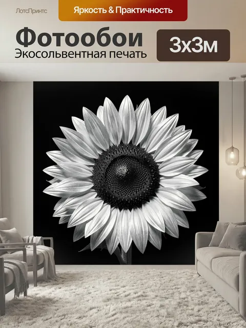 Фотообои Солнечный цветок на черном фоне. Крупный контрастный подсолнух в монохромной гамме, светлые лепестки и темная…