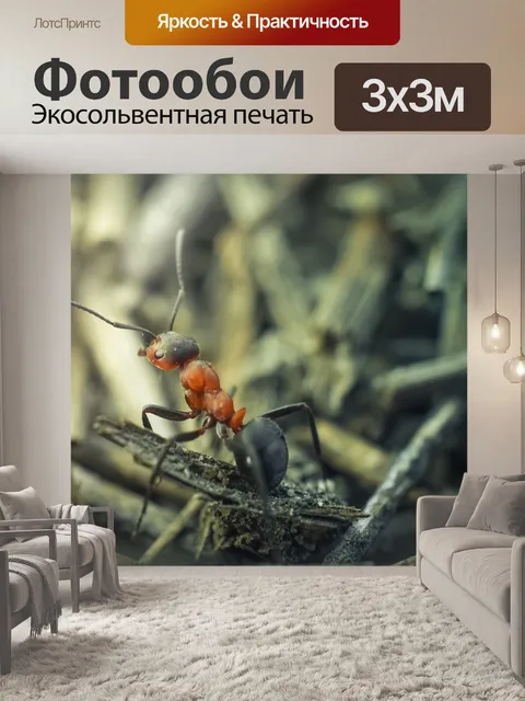 Фотообои Муравей, макрос, насекомое