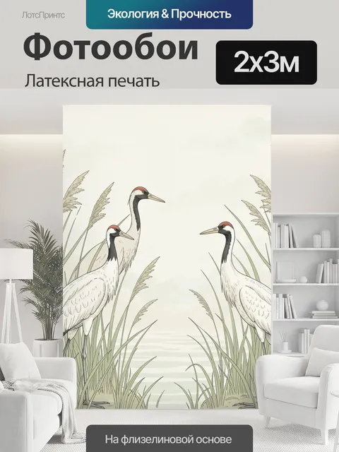 200 × 300 см · Латексная печать