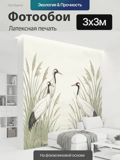 300 × 300 см · Латексная печать