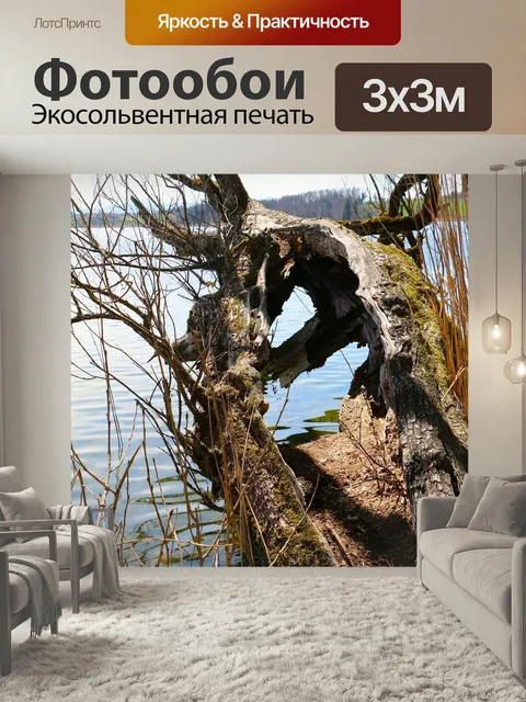Фотообои Природа, дерево, сплит