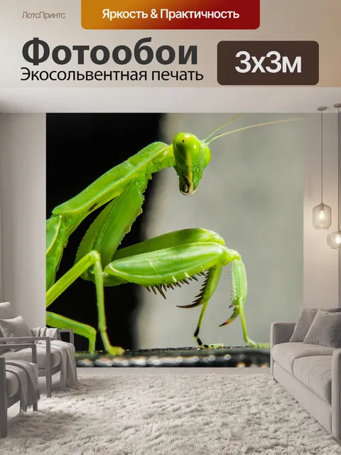 Фотообои Богомол, ловля насекомых, зеленый