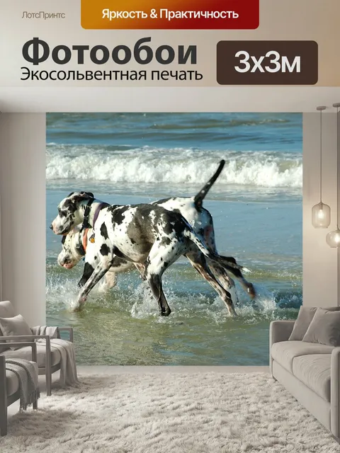Фотообои Немецкие доги, собаки, играющий